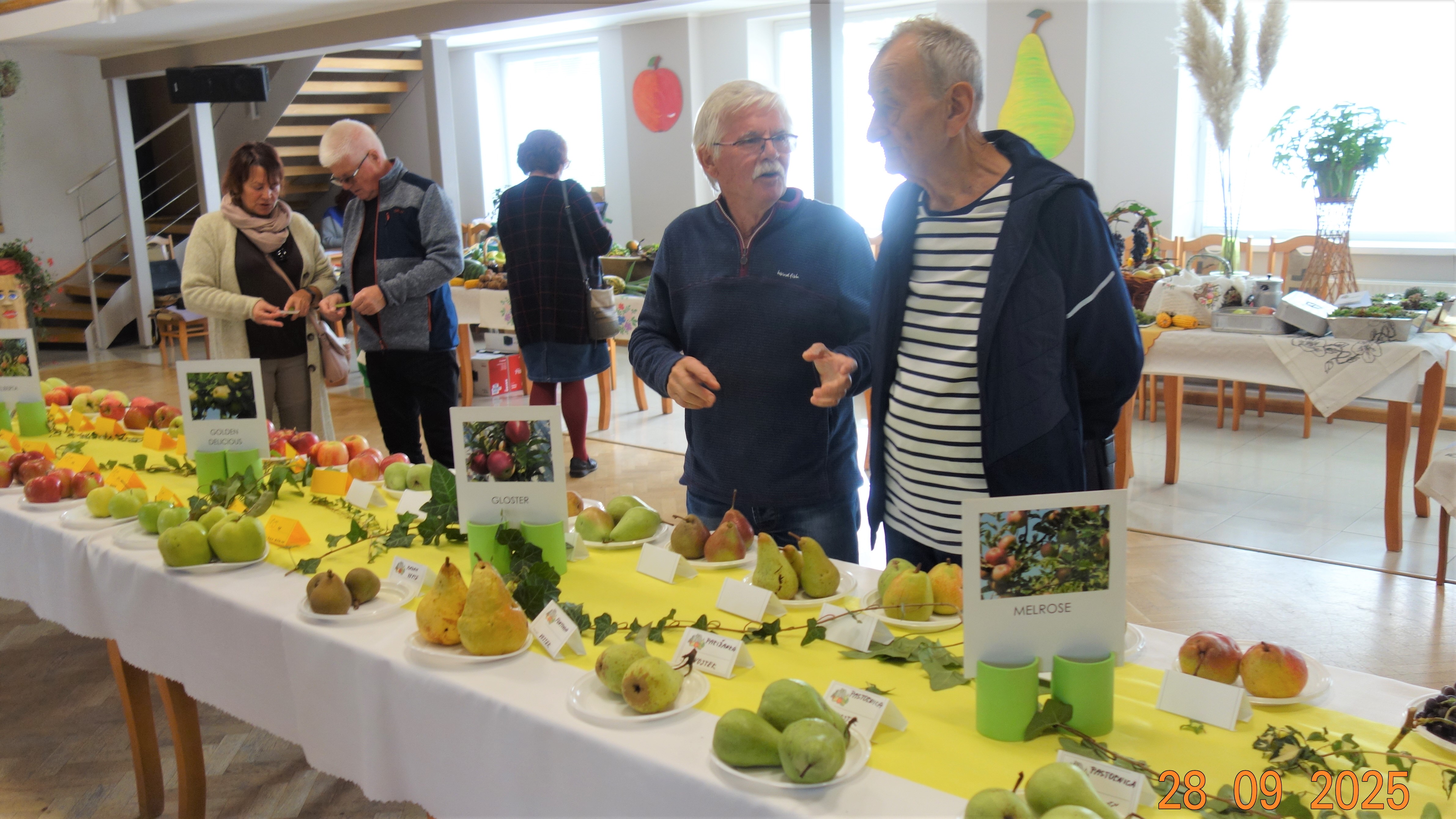 VYST.ZO SZZ Ždaňa)